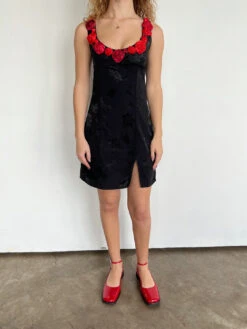 Be Mine Dress - Notte -Fashion Shop IMG 0053 tyler mcgillivary dress rose