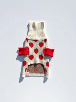 Meet The Parents Sweater - Strawberries -Fashion Shop IMG 2179 little beast lisa says gah strawberry