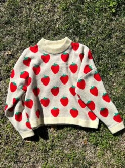 Ella Sweater - Strawberries -Fashion Shop IMG 4623 fc380c41 c4e3 4f32 aeed c336967182d0