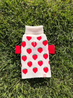 Meet The Parents Sweater - Strawberries -Fashion Shop IMG 5139 little beast