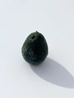 Avocado Candle - Avocado