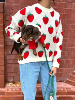 Meet The Parents Sweater - Strawberries -Fashion Shop IMG 6762 little beast