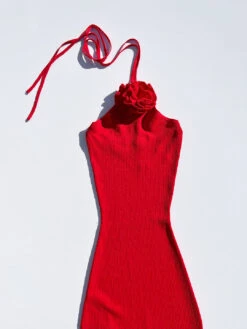 Coeur Knit Dress - Cherry -Fashion Shop IMG 7744 nia rose dress red