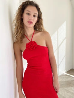 Coeur Knit Dress - Cherry -Fashion Shop IMG 8243 nia rose dress red