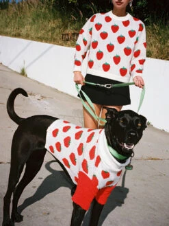 Meet The Parents Sweater - Strawberries